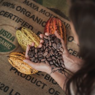 🤎 Proč si vybíráte naši značku kakaa? Kvalita kakaa začíná v půdě, kde roste, pokračuje klimatem, péčí pěstitelů a...