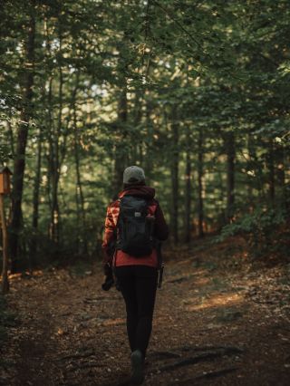 ✨ Bio funkční kakao s extrakty z vitálních hub 🍄‍🟫 – nový rituál pro každý den Vyber si kakao podle toho, co právě...