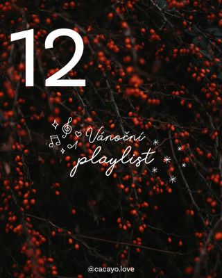 🤎 12. Okénko našeho adventního kalendáře se otevírá spolu s @lubicanazlerova, která nás naladí a propojí spolu s vánočním...